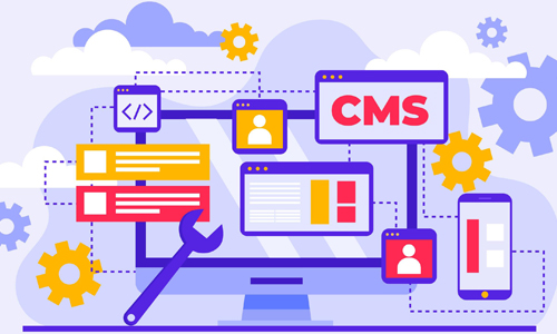 Content Management Systems (CMS)